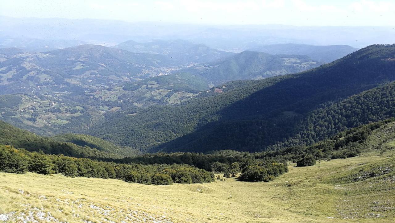 Koliba Pcelica 1-Spa Bijelo Polje Luaran gambar